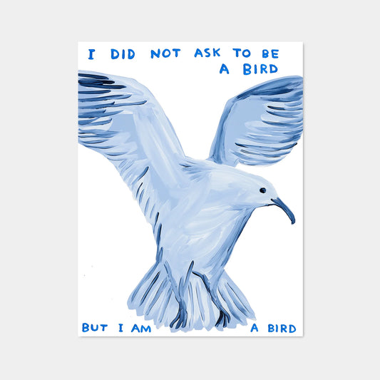 David Shrigley｜I Did Not Ask To Be a Bird (我沒有要求成為一隻鳥)